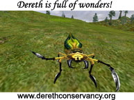 Dereth is full of Wonders!